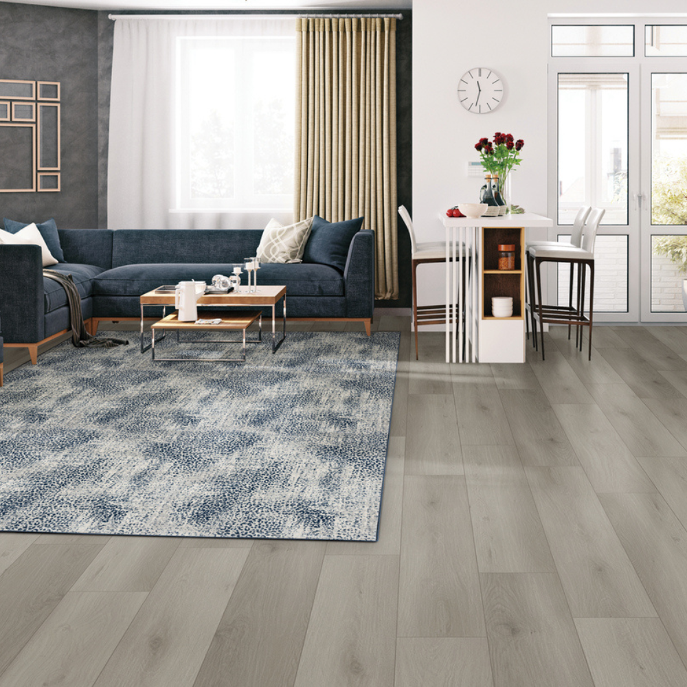 area rug in living room